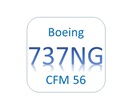 BOEING 737-600/700/800/900 (CFM 56) - GENERAL FAMILIARIZATION FOR CAT C